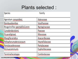 Plants selected :
 