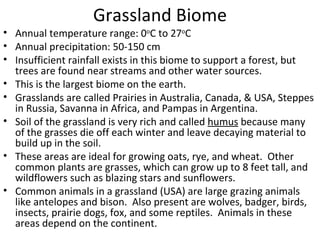 Grassland Biome Annual temperature range: 0 o C to 27 o C Annual precipitation: 50-150 cm Insufficient rainfall exists in this biome to support a forest, but trees are found near streams and other water sources. This is the largest biome on the earth. Grasslands are called Prairies in Australia, Canada, & USA, Steppes in Russia, Savanna in Africa, and Pampas in Argentina. Soil of the grassland is very rich and called  humus  because many of the grasses die off each winter and leave decaying material to build up in the soil. These areas are ideal for growing oats, rye, and wheat.  Other common plants are grasses, which can grow up to 8 feet tall, and wildflowers such as blazing stars and sunflowers. Common animals in a grassland (USA) are large grazing animals like antelopes and bison.  Also present are wolves, badger, birds, insects, prairie dogs, fox, and some reptiles.  Animals in these areas depend on the continent.  