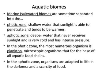 Aquatic biomes Marine (saltwater) biomes  are sometime separated into the… photic zone , shallow water that sunlight is able to penetrate and tends to be warmer. aphotic zone , deeper water that never receives sunlight and is very cold and has intense pressure. In the photic zone, the most numerous organism is  plankton , microscopic organisms that for the base of all aquatic food chains. In the aphotic zone, organisms are adapted to life in the darkness and a scarcity of food.  