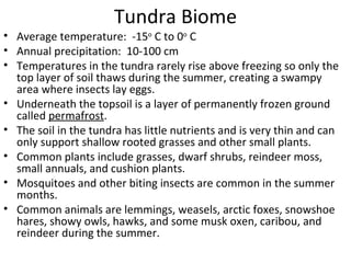 Tundra Biome Average temperature:  -15 o  C to 0 o  C Annual precipitation:  10-100 cm Temperatures in the tundra rarely rise above freezing so only the top layer of soil thaws during the summer, creating a swampy area where insects lay eggs.  Underneath the topsoil is a layer of permanently frozen ground called  permafrost .  The soil in the tundra has little nutrients and is very thin and can only support shallow rooted grasses and other small plants. Common plants include grasses, dwarf shrubs, reindeer moss, small annuals, and cushion plants.  Mosquitoes and other biting insects are common in the summer months. Common animals are lemmings, weasels, arctic foxes, snowshoe hares, showy owls, hawks, and some musk oxen, caribou, and reindeer during the summer. 