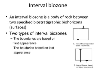 Interval biozone
• An interval biozone is a body of rock between
  two specified biostratigraphic biohorizons
  (surfaces)
• Two types of interval biozones
  – The boundaries are based on 
    first appearance
  – The boudaries based on last 
    appearance
 