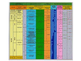 Biostratigraphy - Geologist