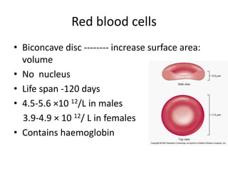 Red blood cells
• Biconcave disc -------- increase surface area:
volume
• No nucleus
• Life span -120 days
• 4.5-5.6 ×10 12/L in males
3.9-4.9 × 10 12/ L in females
• Contains haemoglobin
 