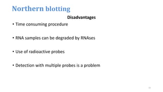Disadvantages
• Time consuming procedure
• RNA samples can be degraded by RNAses
• Use of radioactive probes
• Detection with multiple probes is a problem
Northern blotting
23
 