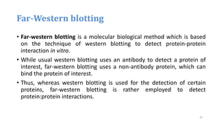 Far-Western blotting
• Far-western blotting is a molecular biological method which is based
on the technique of western blotting to detect protein-protein
interaction in vitro.
• While usual western blotting uses an antibody to detect a protein of
interest, far-western blotting uses a non-antibody protein, which can
bind the protein of interest.
• Thus, whereas western blotting is used for the detection of certain
proteins, far-western blotting is rather employed to detect
protein:protein interactions.
39
 