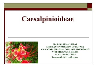 Caesalpinioideae
Dr. B. KARUNAI SELVI
ASSISTANT PROFESSOR OF BOTANY
V.V.VANNIAPERUMAL COLLEGE FOR WOMEN
VIRUDHUNAGAR- 626 001
TAMIL NADU, INDIA
karunaiselvi@vvvcollege.org
 