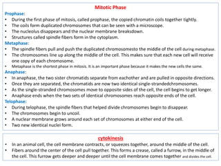 Mitotic Phase
Prophase:
• During the first phase of mitosis, called prophase, the copied chromatin coils together tightly.
• The coils form duplicated chromosomes that can be seen with a microscope.
• The nucleolus disappears and the nuclear membrane breaksdown.
• Structures called spindle fibers form in the cytoplasm.
Metaphase:
• The spindle fibers pull and push the duplicated chromosomesto the middle of the cell during metaphase.
• The chromosomes line up along the middle of the cell. This makes sure that each new cell will receive
one copy of each chromosome.
• Metaphase is the shortest phase in mitosis. It is an important phase because it makes the new cells the same.
Anaphase:
• In anaphase, the two sister chromatids separate from eachother and are pulled in opposite directions.
• Once they are separated, the chromatids are now two identical single-strandedchromosomes.
• As the single-stranded chromosomes move to opposite sides of the cell, the cell begins to get longer.
• Anaphase ends when the two sets of identical chromosomes reach opposite ends of the cell.
Telophase:
• During telophase, the spindle fibers that helped divide chromosomes begin to disappear.
• The chromosomes begin to uncoil.
• A nuclear membrane grows around each set of chromosomes at either end of the cell.
• Two new identical nuclei form.
cytokinesis
• In an animal cell, the cell membrane contracts, or squeezes together, around the middle of the cell.
• Fibers around the center of the cell pull together. This forms a crease, called a furrow, in the middle of
the cell. This furrow gets deeper and deeper until the cell membrane comes together and divides the cell.
 