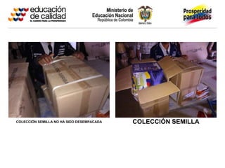 COLECCIÓN SEMILLA NO HA SIDO DESEMPACADA COLECCIÓN SEMILLA
 