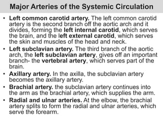 Major Arteries of the Systemic Circulation
• Left common carotid artery. The left common carotid
artery is the second branch off the aortic arch and it
divides, forming the left internal carotid, which serves
the brain, and the left external carotid, which serves
the skin and muscles of the head and neck.
• Left subclavian artery. The third branch of the aortic
arch, the left subclavian artery, gives off an important
branch- the vertebral artery, which serves part of the
brain.
• Axillary artery. In the axilla, the subclavian artery
becomes the axillary artery.
• Brachial artery. the subclavian artery continues into
the arm as the brachial artery, which supplies the arm.
• Radial and ulnar arteries. At the elbow, the brachial
artery splits to form the radial and ulnar arteries, which
serve the forearm.
 