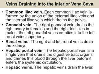 Veins Draining into the Inferior Vena Cava
• Common iliac vein. Each common iliac vein is
formed by the union of the external iliac vein and
the internal iliac vein which drains the pelvis.
• Gonadal vein. The right gonadal vein drains the
right ovary in females and the right testicles in
males; the left gonadal veins empties into the left
renal veins superiorly.
• Renal veins. The right and left renal veins drain
the kidneys.
• Hepatic portal vein. The hepatic portal vein is a
single vein that drains the digestive tract organs
and carries this blood through the liver before it
enters the systemic circulation.
• Hepatic veins. The hepatic veins drain the liver.
 