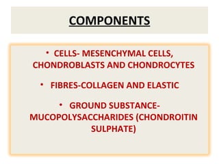 COMPONENTS CELLS- MESENCHYMAL CELLS, CHONDROBLASTS AND CHONDROCYTES FIBRES-COLLAGEN AND ELASTIC GROUND SUBSTANCE- MUCOPOLYSACCHARIDES (CHONDROITIN SULPHATE) 