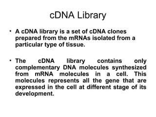 cDNA Library
• A cDNA library is a set of cDNA clones
prepared from the mRNAs isolated from a
particular type of tissue.
• The cDNA library contains only
complementary DNA molecules synthesized
from mRNA molecules in a cell. This
molecules represents all the gene that are
expressed in the cell at different stage of its
development.
 