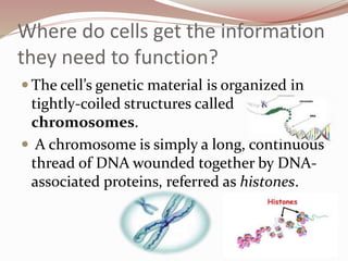 Where do cells get the information
they need to function?
 The cell’s genetic material is organized in
tightly-coiled structures called
chromosomes.
 A chromosome is simply a long, continuous
thread of DNA wounded together by DNA-
associated proteins, referred as histones.
 