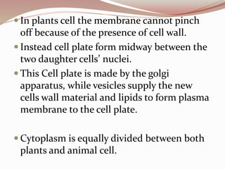  In plants cell the membrane cannot pinch
off because of the presence of cell wall.
 Instead cell plate form midway between the
two daughter cells’ nuclei.
 This Cell plate is made by the golgi
apparatus, while vesicles supply the new
cells wall material and lipids to form plasma
membrane to the cell plate.
 Cytoplasm is equally divided between both
plants and animal cell.
 