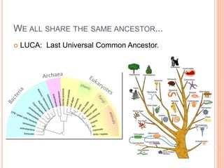 WE ALL SHARE THE SAME ANCESTOR...
 LUCA: Last Universal Common Ancestor.
 