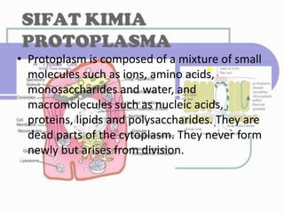 .
• Protoplasm is composed of a mixture of small
molecules such as ions, amino acids,
monosaccharides and water, and
macromolecules such as nucleic acids,
proteins, lipids and polysaccharides. They are
dead parts of the cytoplasm. They never form
newly but arises from division.
 