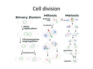 Cell division
 