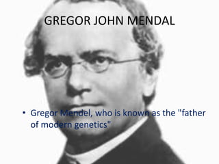 GREGOR JOHN MENDAL
• Gregor Mendel, who is known as the "father
of modern genetics"
 