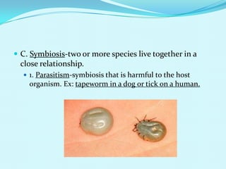 C. Symbiosis-two or more species live together in a close relationship.1. Parasitism-symbiosis that is harmful to the host organism. Ex: tapeworm in a dog or tick on a human.