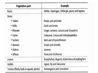 Reproduction in organisms