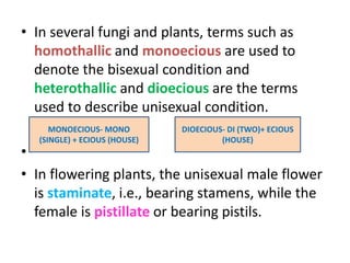 • In several fungi and plants, terms such as
homothallic and monoecious are used to
denote the bisexual condition and
heterothallic and dioecious are the terms
used to describe unisexual condition.
•
• In flowering plants, the unisexual male flower
is staminate, i.e., bearing stamens, while the
female is pistillate or bearing pistils.
MONOECIOUS- MONO
(SINGLE) + ECIOUS (HOUSE)
DIOECIOUS- DI (TWO)+ ECIOUS
(HOUSE)
 