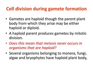 Cell division during gamete formation
• Gametes are haploid though the parent plant
body from which they arise may be either
haploid or diploid.
• A haploid parent produces gametes by mitotic
division.
• Does this mean that meiosis never occurs in
organisms that are haploid?
• Several organisms belonging to monera, fungi,
algae and bryophytes have haploid plant body,
 