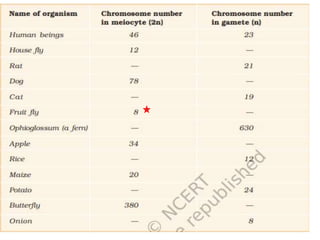 Reproduction in organisms