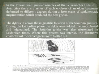  In the Precambrian gneissic complex of the Schirmacher Hills in E.
Antarctica there is a series of such enclaves of an older basement
deformed to different degrees during a later event of synkinematic
migmatization which produced the host gneiss.

 The dykes cut across the migmatitic foliation of the Scourian gneisses.
During the Laxfordian phase the dykes were folded, metamorphosed
and migmatized. The Scourian gneiss was also rejuvenated in
Laxfordian times. Where this process was intense, the distinctive
characters of the earlier gneiss were blotted out.
 