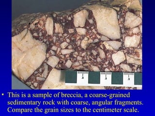 • This is a sample of breccia, a coarse-grained
sedimentary rock with coarse, angular fragments.
Compare the grain sizes to the centimeter scale.
 