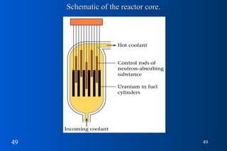 Schematic of the reactor core. 