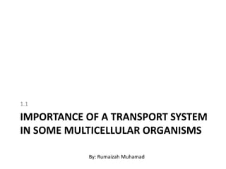 1.1

IMPORTANCE OF A TRANSPORT SYSTEM
IN SOME MULTICELLULAR ORGANISMS

           By: Rumaizah Muhamad
 