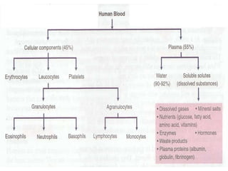 Chapter 1: Transport (1.1 - 1.3)