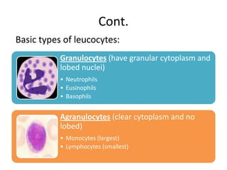 Cont.
Basic types of leucocytes:
           Granulocytes (have granular cytoplasm and
           lobed nuclei)
           • Neutrophils
           • Eusinophils
           • Basophils


           Agranulocytes (clear cytoplasm and no
           lobed)
           • Monocytes (largest)
           • Lymphocytes (smallest)
 