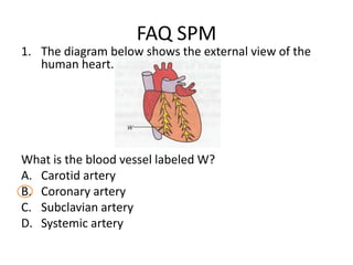 FAQ SPM
1. The diagram below shows the external view of the
   human heart.




What is the blood vessel labeled W?
A. Carotid artery
B. Coronary artery
C. Subclavian artery
D. Systemic artery
 