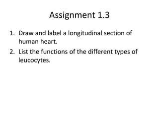 Assignment 1.3
1. Draw and label a longitudinal section of
   human heart.
2. List the functions of the different types of
   leucocytes.
 