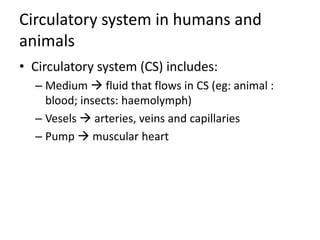 Circulatory system in humans and
animals
• Circulatory system (CS) includes:
  – Medium  fluid that flows in CS (eg: animal :
    blood; insects: haemolymph)
  – Vesels  arteries, veins and capillaries
  – Pump  muscular heart
 