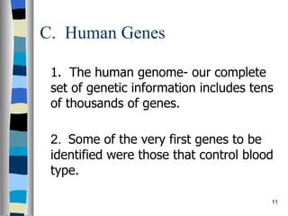 C.  Human Genes 1.  The human genome- our complete set of genetic information includes tens of thousands of genes.    2.  Some of the very first genes to be identified were those that control blood type.   