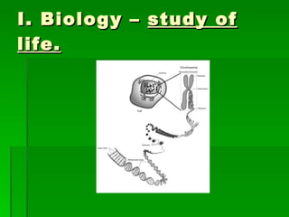 I. Biology –  study of life. 