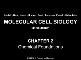 Lodish • Berk • Kaiser • Krieger • Scott • Bretscher •Ploegh • Matsudaira

MOLECULAR CELL BIOLOGY
SIXTH EDITION

CHAPTER 2
Chemical Foundations
© 2008 W. H. Freeman and Company
Copyright 2008 © W. H. Freeman and Company

 