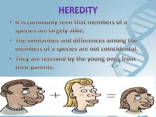 heredity and evolution