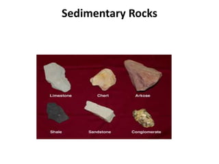 Sedimentary Rocks
 