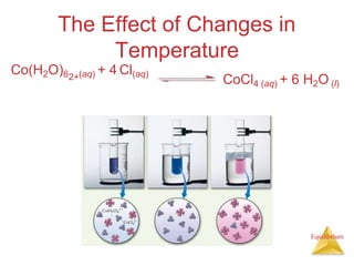 The Effect of Changes in
Temperature
Co(H2O)6 (aq) + 4 Cl(aq)
2+ CoCl4 (aq) + 6 H2O (l)
Equilibrium
 