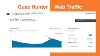 Guac Hunter Web Traffic
 