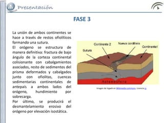 FASE 3
La unión de ambos continentes se
hace a través de restos ofiolíticos
formando una sutura.
El orógeno se estructura de
manera definitiva: fractura de bajo
ángulo de la corteza continental
colisionante con cabalgamientos
asociados, resto de sedimentos del
prisma deformados y cabalgados
junto con ofiolitas, cuencas
sedimentarias continentales de
antepaís a ambos lados del
orógeno, hundimiento por
sobrecarga.
Por último, se producirá el
desmantelamiento erosivo del
orógeno por elevación isostática.
Imagen de Ingwik en Wikimedia commons. Licencia cc
 