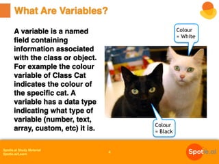 Spotle.ai Study Material
Spotle.ai/Learn
A variable is a named
field containing
information associated
with the class or object.
For example the colour
variable of Class Cat
indicates the colour of
the specific cat. A
variable has a data type
indicating what type of
variable (number, text,
array, custom, etc) it is.
What Are Variables?
4
Colour
= Black
Colour
= White
 