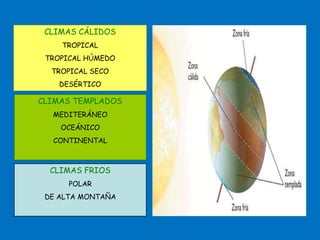 CLIMAS CÁLIDOS
TROPICAL
TROPICAL HÚMEDO
TROPICAL SECO
DESÉRTICO
CLIMAS TEMPLADOS
MEDITERÁNEO
OCEÁNICO
CONTINENTAL
CLIMAS FRIOS
POLAR
DE ALTA MONTAÑA
 