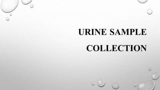 URINE SAMPLE
COLLECTION
 