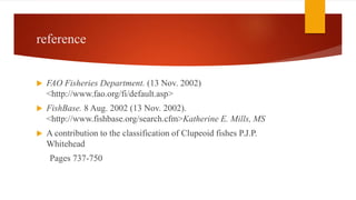 reference
 FAO Fisheries Department. (13 Nov. 2002)
<http://www.fao.org/fi/default.asp>
 FishBase. 8 Aug. 2002 (13 Nov. 2002).
<http://www.fishbase.org/search.cfm>Katherine E. Mills, MS
 A contribution to the classification of Clupeoid fishes P.J.P.
Whitehead
Pages 737-750
 