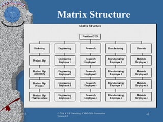 Matrix Structure
2/10/2013 © 2008 K.V.P Consulting; CMMI-Mils Presentation
Version 2.2
47
 