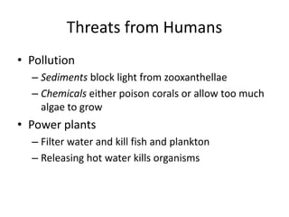 Threats from Humans
• Pollution
– Sediments block light from zooxanthellae
– Chemicals either poison corals or allow too much
algae to grow
• Power plants
– Filter water and kill fish and plankton
– Releasing hot water kills organisms
 